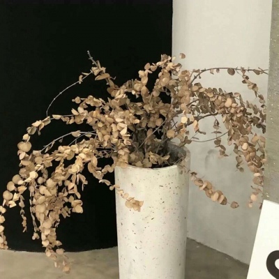 Furry插画素材实用分享兽圈群